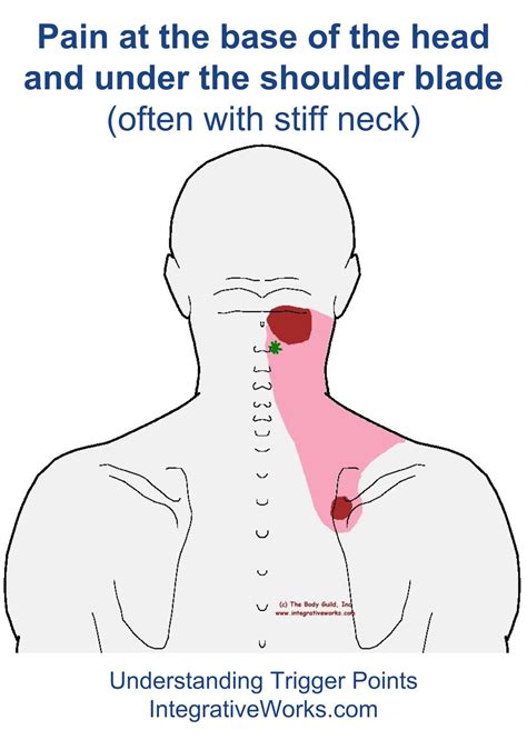 Neck archives – Artofit