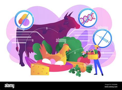 Free from antibiotics hormones GMO foods concept vector illustration Stock Vector Image & Art ...