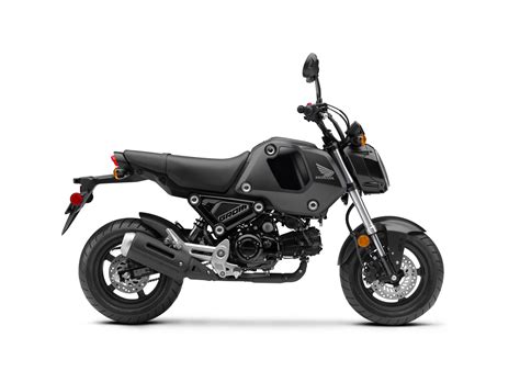 2023 Honda Grom Guide • Total Motorcycle