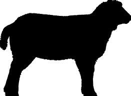 Show Lamb Silhouette at GetDrawings | Free download