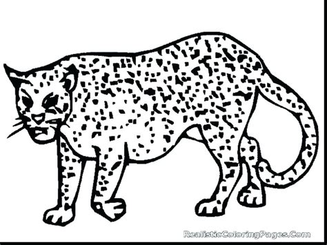 Realistic Cheetah Coloring Pages at GetDrawings | Free download