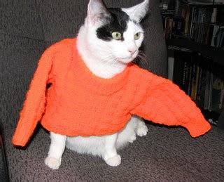 trying on baby clothes | a friend made me this lovely orange… | Flickr