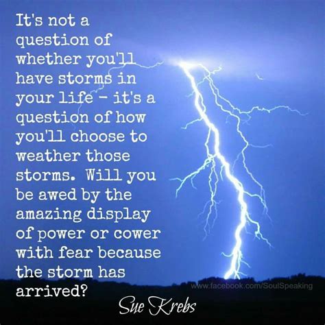 Weathering A Storm Quotes at Daniel Lieberman blog