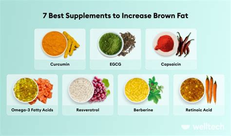 7 Supplements to Increase Brown Fat & Boost Weight Loss - Welltech