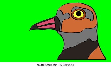 This Digital Drawing Drawing Head Bird Stock Illustration 2218042213 | Shutterstock