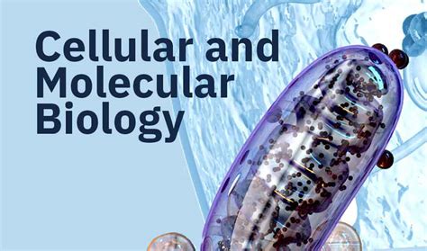 Cellular and Molecular Biology Research - Department of Biology