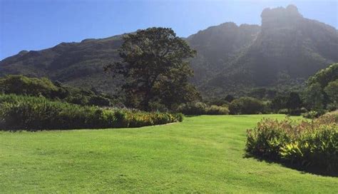 Explorer's Guide to Kirstenbosch Botanical Garden, a national treasure