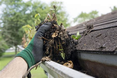 7 Reasons to Get Your Gutters Cleaned This Spring