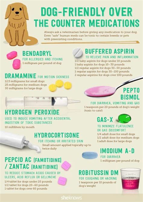 Dog friendly OTC medications - Tap the pin for the most adorable ...