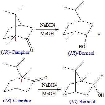 Draw the stereochemistry of the products formed of the following 2 reactions: Camphor + Sodium ...