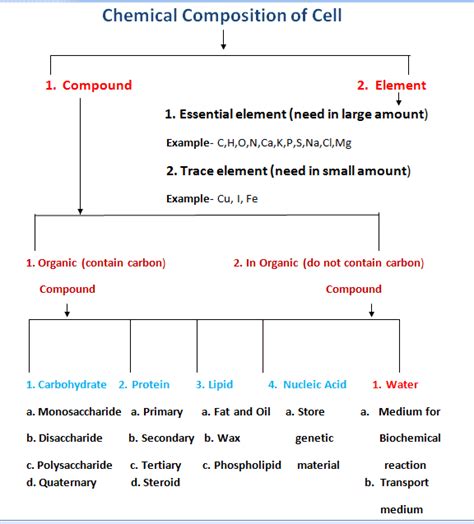 Chemical Composition of Cell And Importance