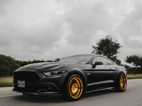 Black Mustang Gold Rims