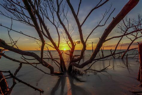 Tigertail Sunset Photograph by Joey Waves