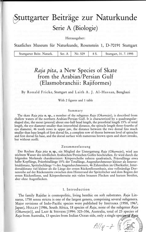 (PDF) Raja pita, a new species of skate from the Arabian/Persian Gulf ...