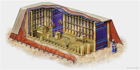 The Structure of the Menorah - Divisions Structure Bible Menorah