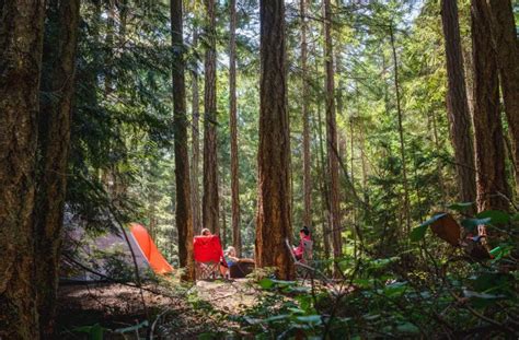 Family Camping | Tips for Planning the Perfect Trip - Exploring New Sights