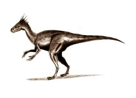 Ornitholestes | Description, Size, Fossil, Diet, & Facts