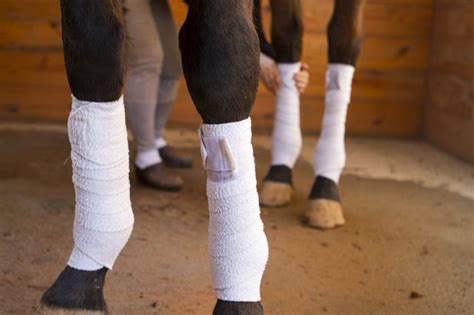 How to Put Polo Wraps on a Horse's Leg (with Pictures) | eHow