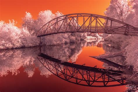 Bothell Slough False Color | Bothell, Washington | Randy Bott Photography