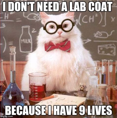 Science Cat - Imgflip