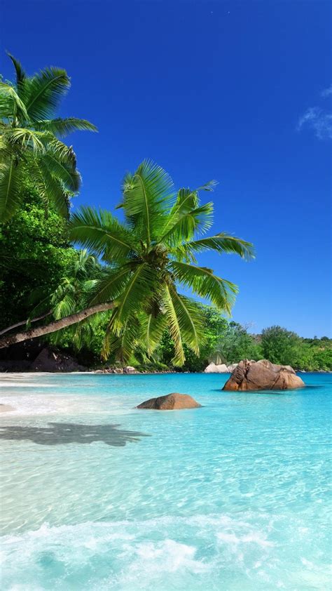 Tropical Beach Paradise Wallpapers - Wallpaper Cave