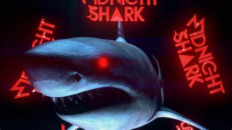 MIDNIGHT SHARK | Visionz