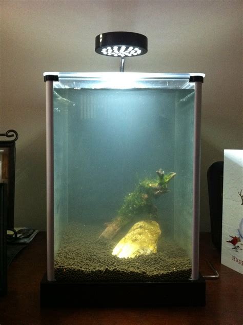 Fluval Spec! | The Planted Tank Forum