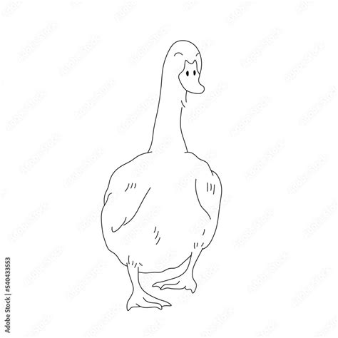 Vector isolated cute cartoon funny walking goose front view colorless ...