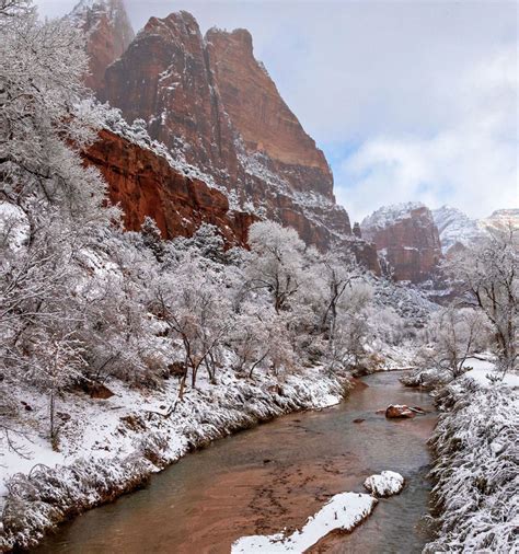 5 Things To Do In Winter At Zion National Park | Zion Ponderosa