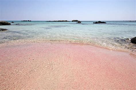 Elafonisi | Shades of pink in the beach of Elafonisi. Greece… | Flickr