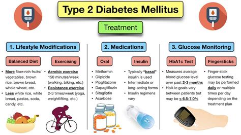 2024-24 Guide To Medications For The Treatment Of Diabetes Mellitus - Buffy Wrennie