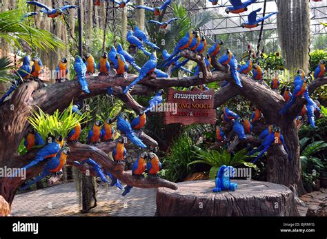 NONG NOOCH TROPICAL GARDEN & RESORT Stock Photo - Alamy