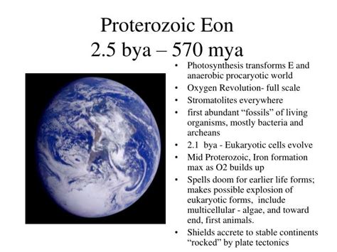 PPT - Proterozoic Eon 2.5 bya – 570 mya PowerPoint Presentation - ID ...