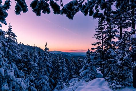 Winter wonderland Vancouver Island BC - Photorator