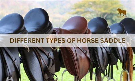 What are the Different Types of Horse Saddle?