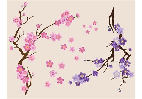 Free Cherry Blossoms Vector