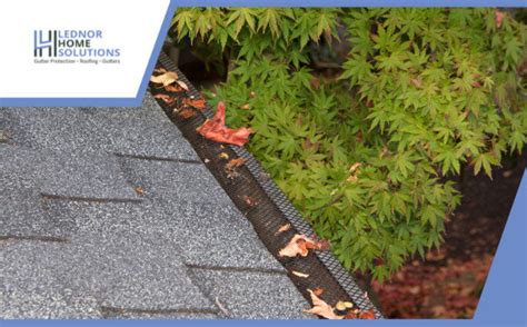 The Top Benefits of Gutter Protection Systems for Your Home