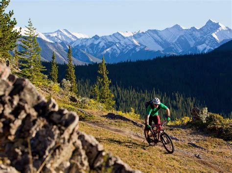 The 50 Best Mountain Bike Trails Worldwide According to ChatGPT