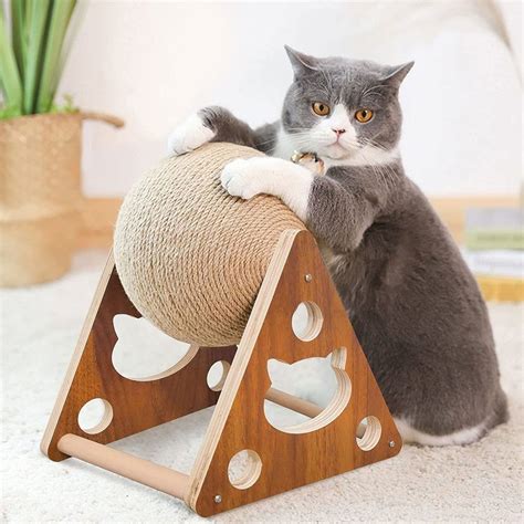 28 Best Cat Toys And Products For Picky Cats