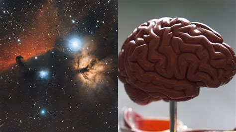 A New Study Finds That the Human Brain and the Universe Look Weirdly ...