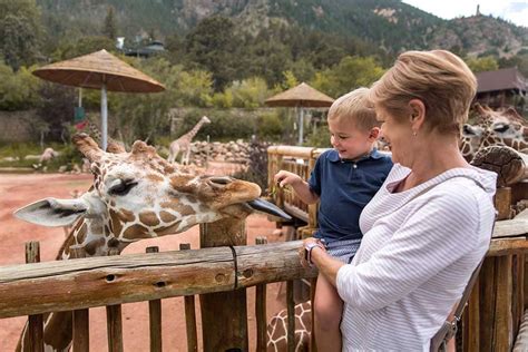 Cheyenne Mountain Zoo -- Pikes Peak Region Attractions