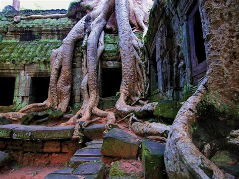 Social History & Cultural Tour to Cambodia | See Asia Differently