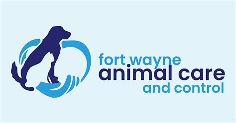 Fort Wayne Animal Care & Control resumes cat, kitten adoptions | Local ...