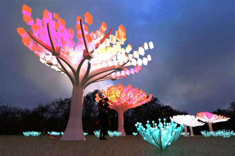 Golden Gate Park's Enchanting LED Light Display Has Been Extended Until April 4