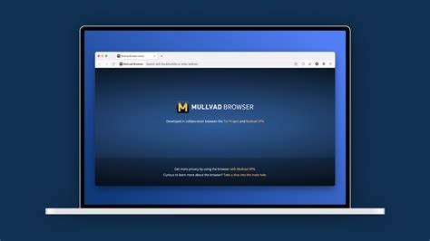 The Mullvad browser protects privacy using standard VPNs - The Verge