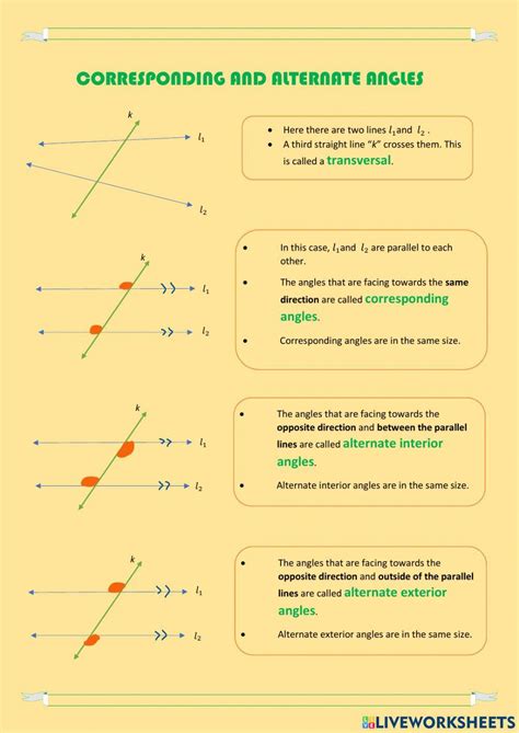 Consecutive Angles Worksheet: Practice and Solutions