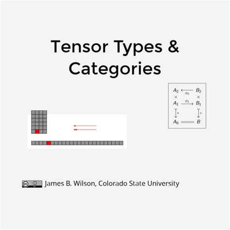 Tensor Types & Categories