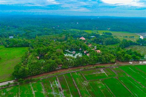 Photo Gallery - Mango Meadows: World's first agricultural theme park