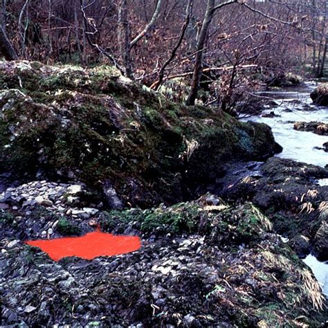 Andy Goldsworthy Rivers And Tides