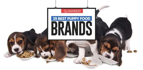 Top 25 Best Puppy Food Brands (Updated 2023 Price!)